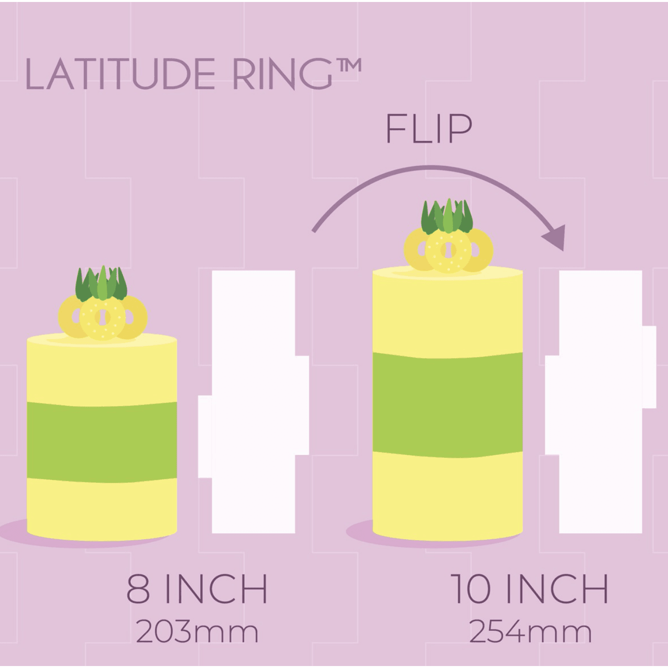 Lisseur Latitude Ring 20 & 25 cm - PME - PME