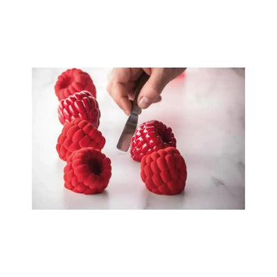 Moule Trompe l'oeil 12 Framboises DISPO LE 20/03 - PAVONI