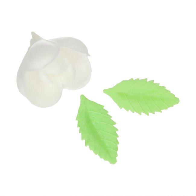 Set/12 Tulipes et Feuilles en Papier Comestible - FUN CAKES